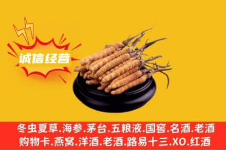黔南州长顺回收冬虫夏草